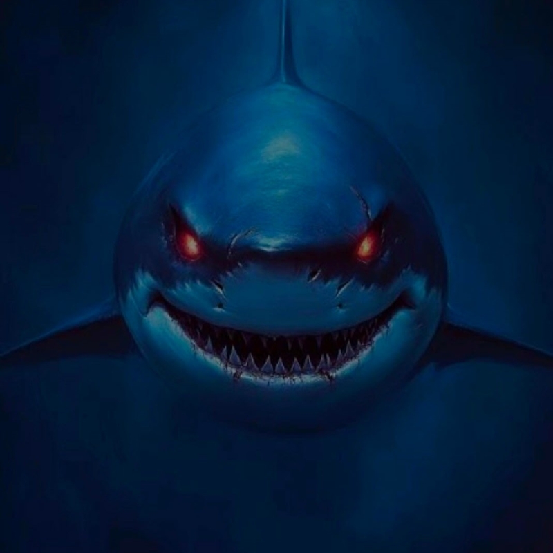 Shark 5